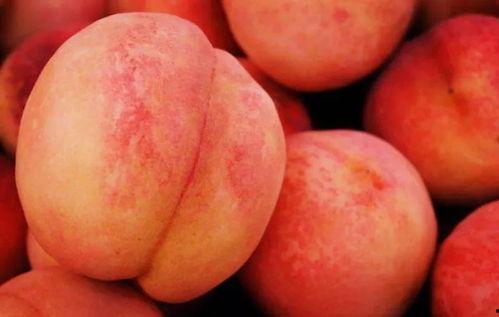 水蜜桃成3熟在线观看,甜蜜瞬间，在线共享美味时光